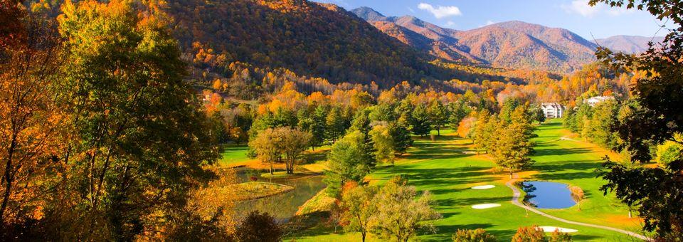 Maggie Valley Resort and Country Club - photo 4