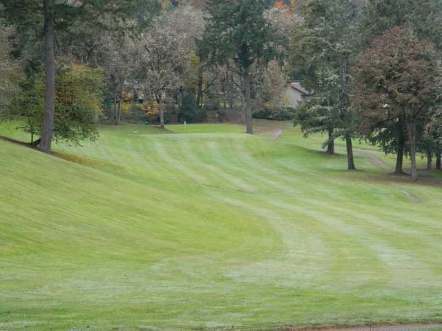 Pineway Golf Course - photo 3