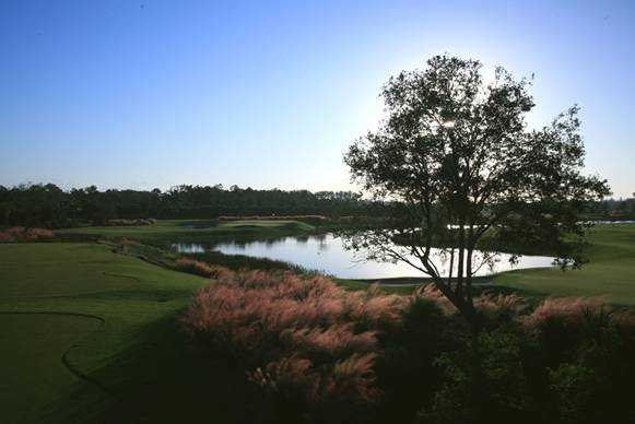 TPC Treviso Bay - photo 6