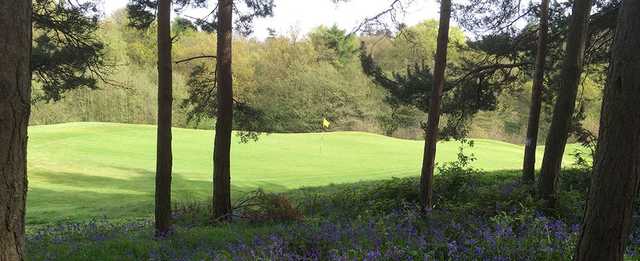 Atherstone Golf Club - photo 7