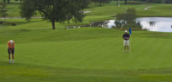 Holiday Hills Resort & Golf - photo 4