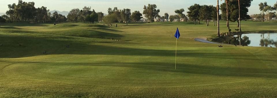 Pueblo El Mirage Golf Course - photo 4
