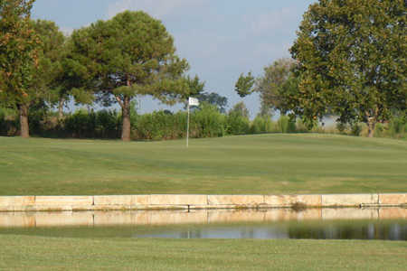 Stonetree Golf Club - photo 4