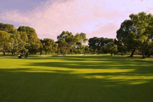 Mount Lawley Golf Club - photo 5