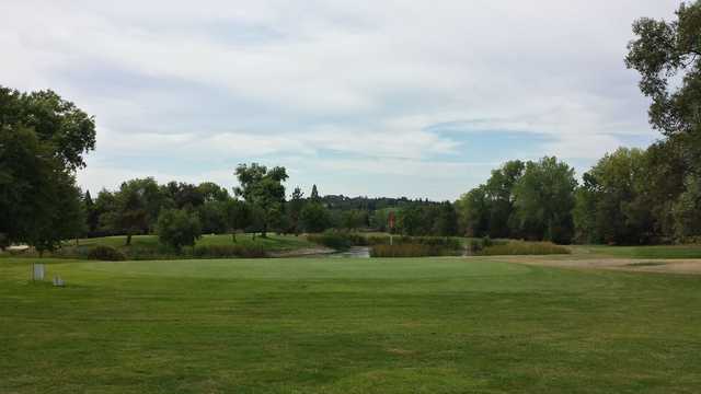 Rolling Greens
