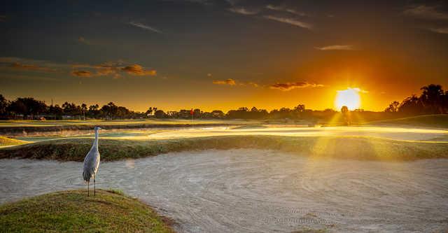 Remington Golf Club - photo 4