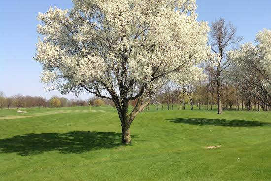 Deer Track Golf Course - photo 2