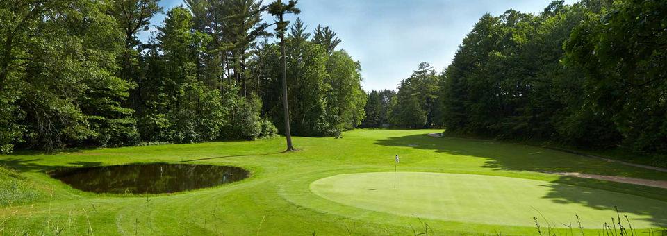 The Ridges Golf Club - photo 6