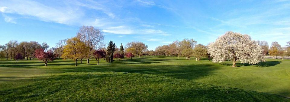 Maple Lane C (East) - photo 3