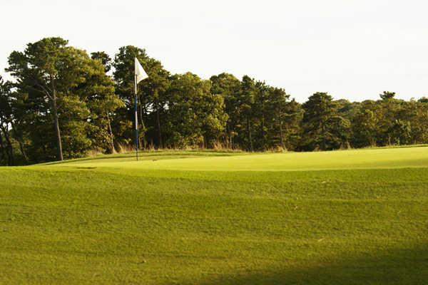 Cape Cod National Golf Club - photo 4