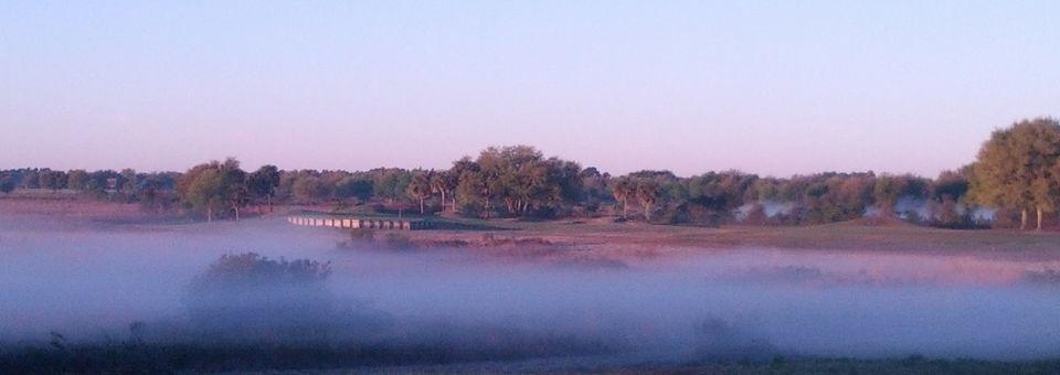 Plantation at Leesburg - Cranes Roost - photo 4