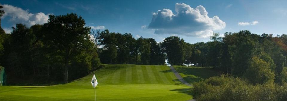 St. Ives Golf Club - photo 4