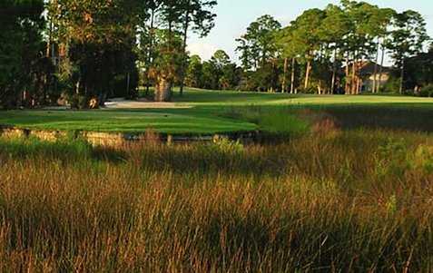 Marsh Landing Country Club - photo 4