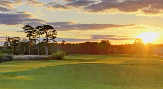 The Peninsula Golf and Country Club - photo 3
