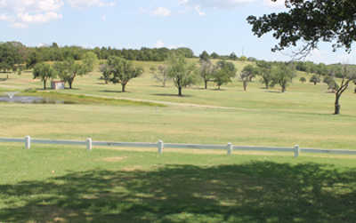 Henryetta - photo 3