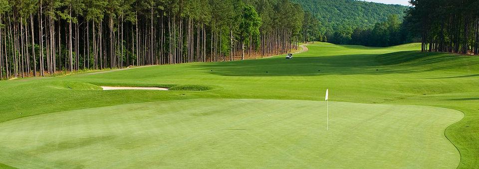 Ballantrae Golf Club - photo 7