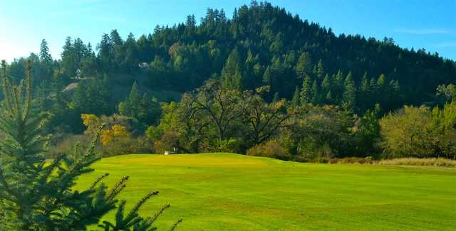 Benbow Valley Resort Country Club - photo 2