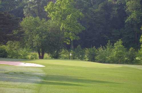 Gillespie Golf Course - photo 2