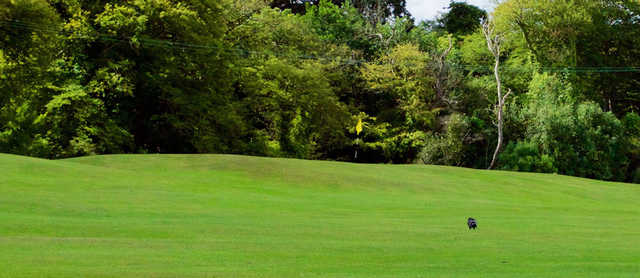 Deer Park Pitch & Putt