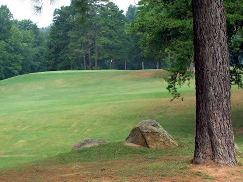 Mc Canless Golf Course - photo 3