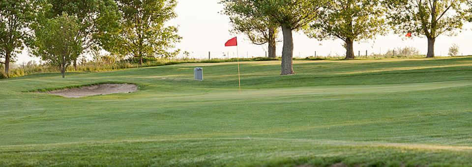 Three Elms Golf Course - photo 4