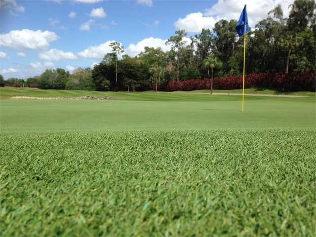 The Hideaway Country Club - photo 8