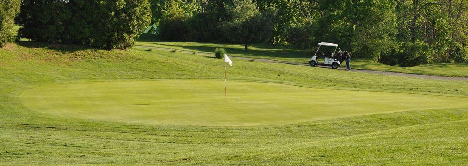 Rich Maiden Golf Course - photo 3