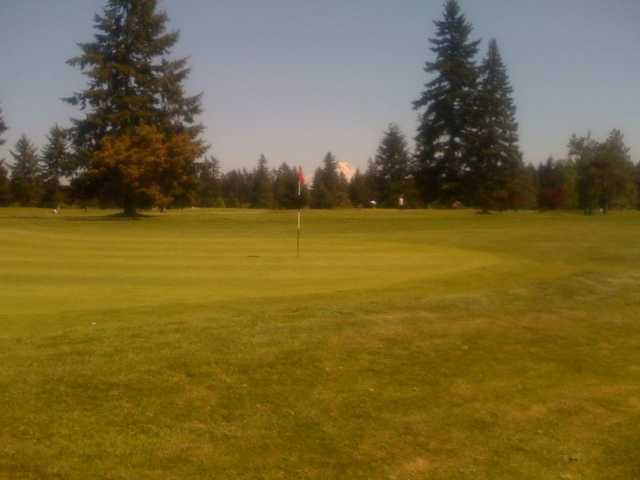 Brookdale Golf Club - photo 5