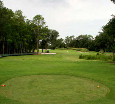 Plantation at Leesburg - Otter Creek - photo 3