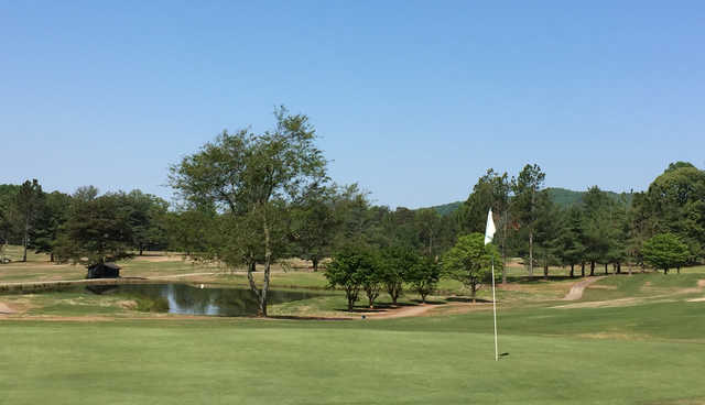 Mossy Creek - photo 2
