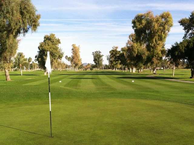 Toka Sticks Golf Club - photo 3