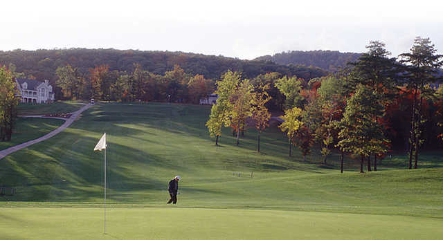 The Woods Resort - photo 2