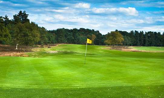 Blackmoor Golf Club - photo 5