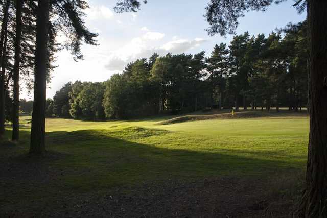 Market Rasen Golf Club - photo 3