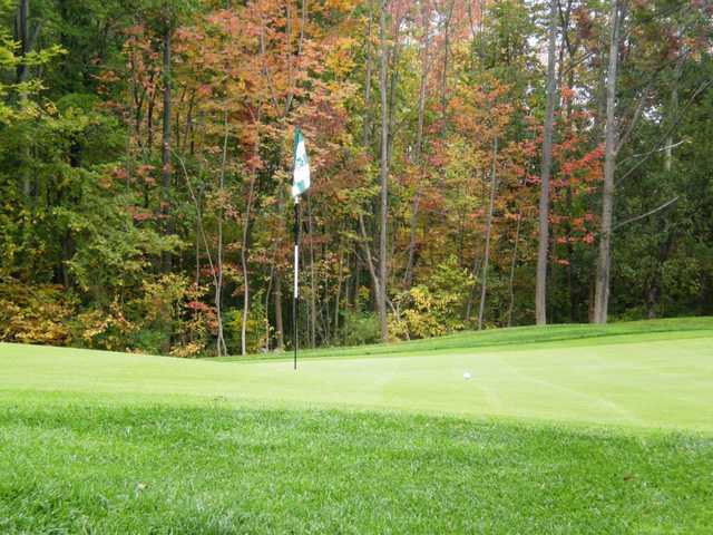 Cobblestone Creek Country Club - photo 2