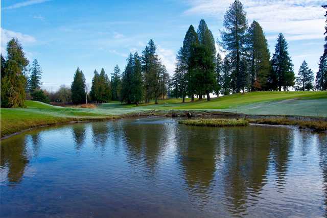 Forest Hills Golf Course - photo 3