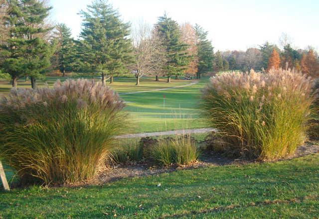 Forest Hills Golf Center - photo 3