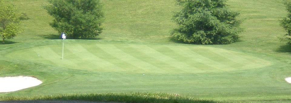 Ole Monterey Golf Course - photo 5