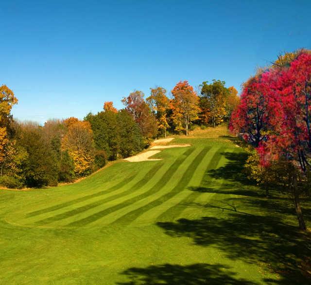 Black Bear Golf Club - photo 3