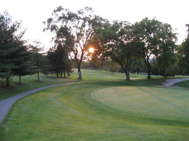 Chedoke - Martin - photo 3
