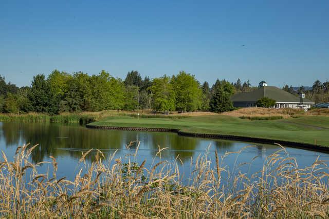 Witch Hollow Course - photo 3