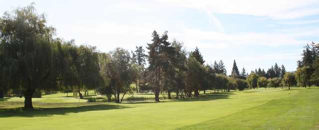 Tam O Shanter Golf & Country Club - photo 2
