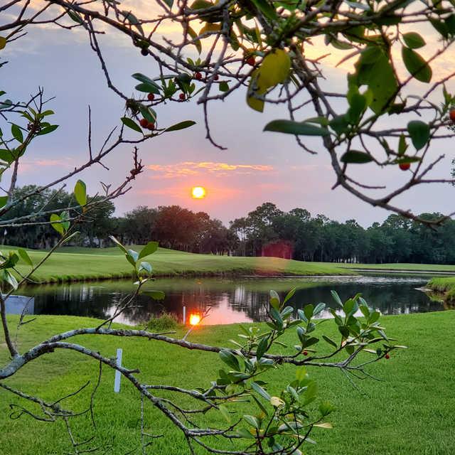 Heron Creek Golf and Country Club - photo 1
