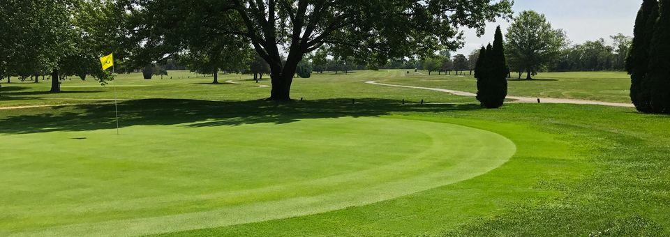 Mastodon Golf Club - photo 4