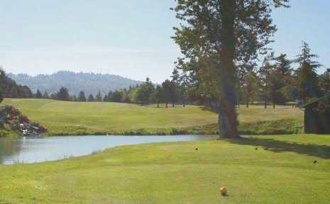 Three Rivers Golf Course - photo 4