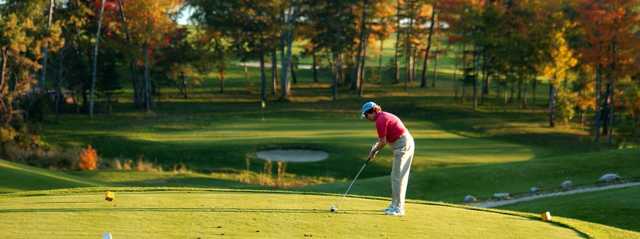 Spring Meadows Golf Club - photo 3