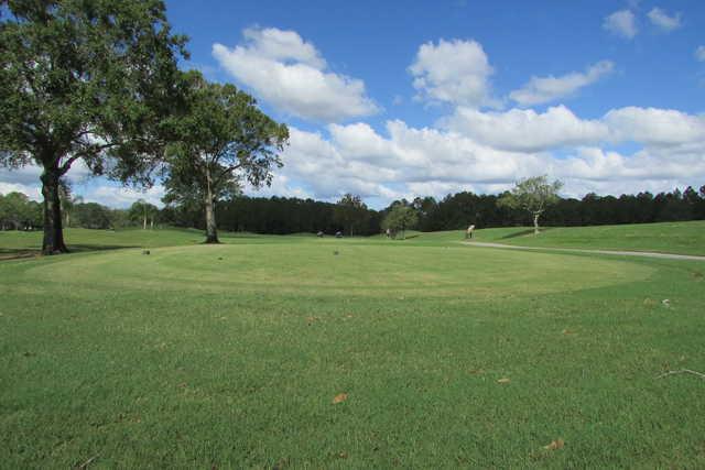 Cimarrone Golf Club - photo 4