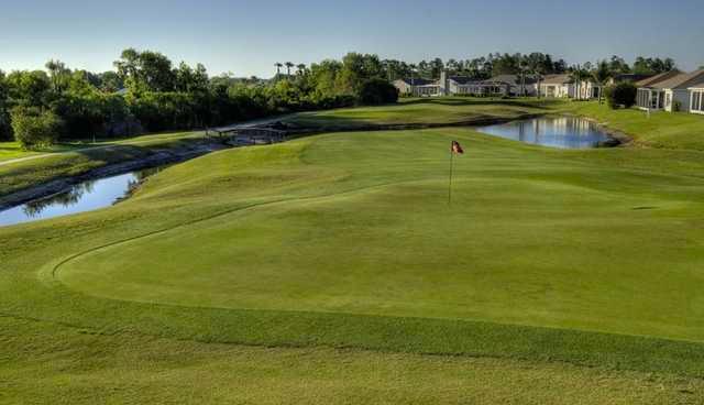 Tampa Bay - 9 Hole - Par 3 Short Course - photo 3