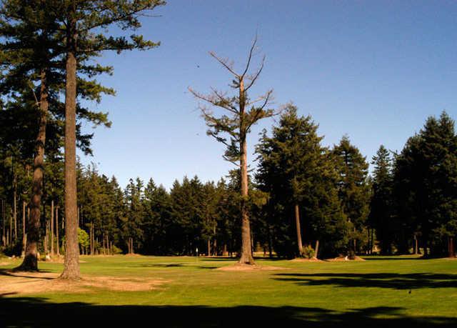 Longlands Par 3 - photo 3