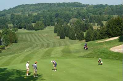 Delphi Falls Golf Course - photo 1